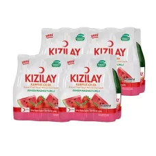Kızılay Soda Karpuz-Çilek 200ml x 24 Adet