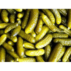 CESURBEY SALATALIK TURŞUSU 3 NO NET 9 KG